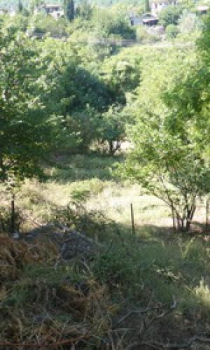 Ο Παράδεισος, η προγιαγιά μου,και ο Τουρκο-Xρήστος